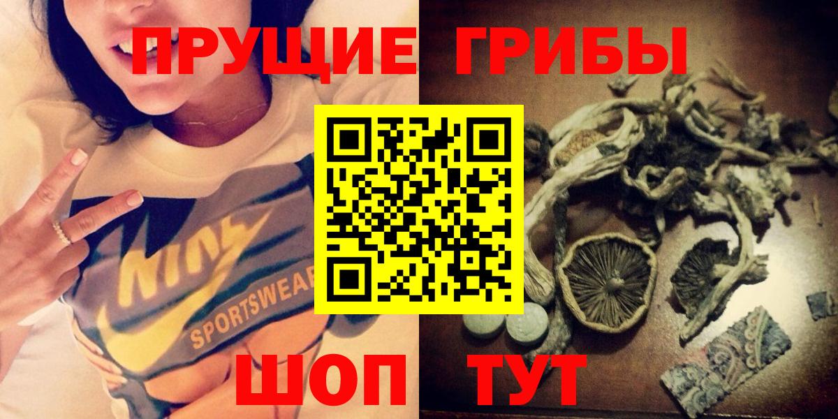 Галлюциногенные грибы мицелий  Вход с VPN  Галлюциногенные грибы прущие грибы  Усть-Джегута 